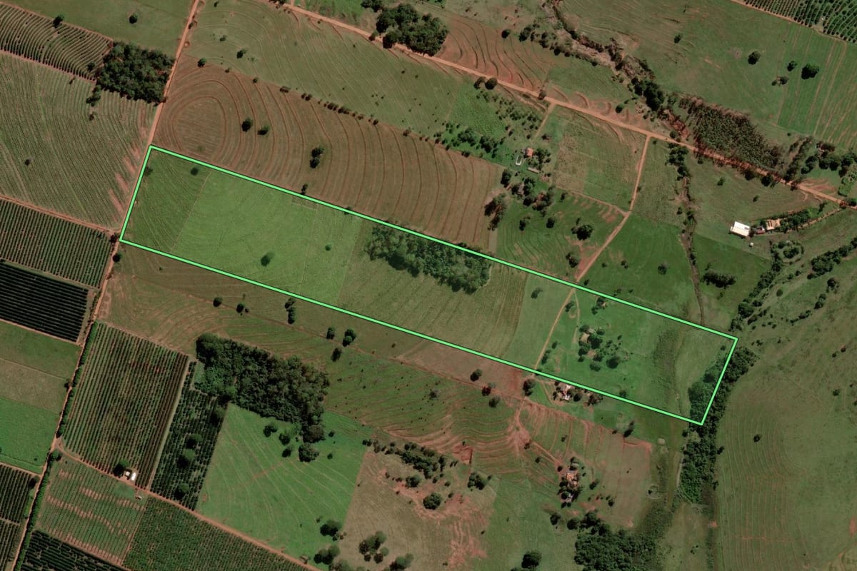 Imagem de satélite do imóvel rural em Santa Salete (SP), com o contorno declarado no CAR desenhado por cima.