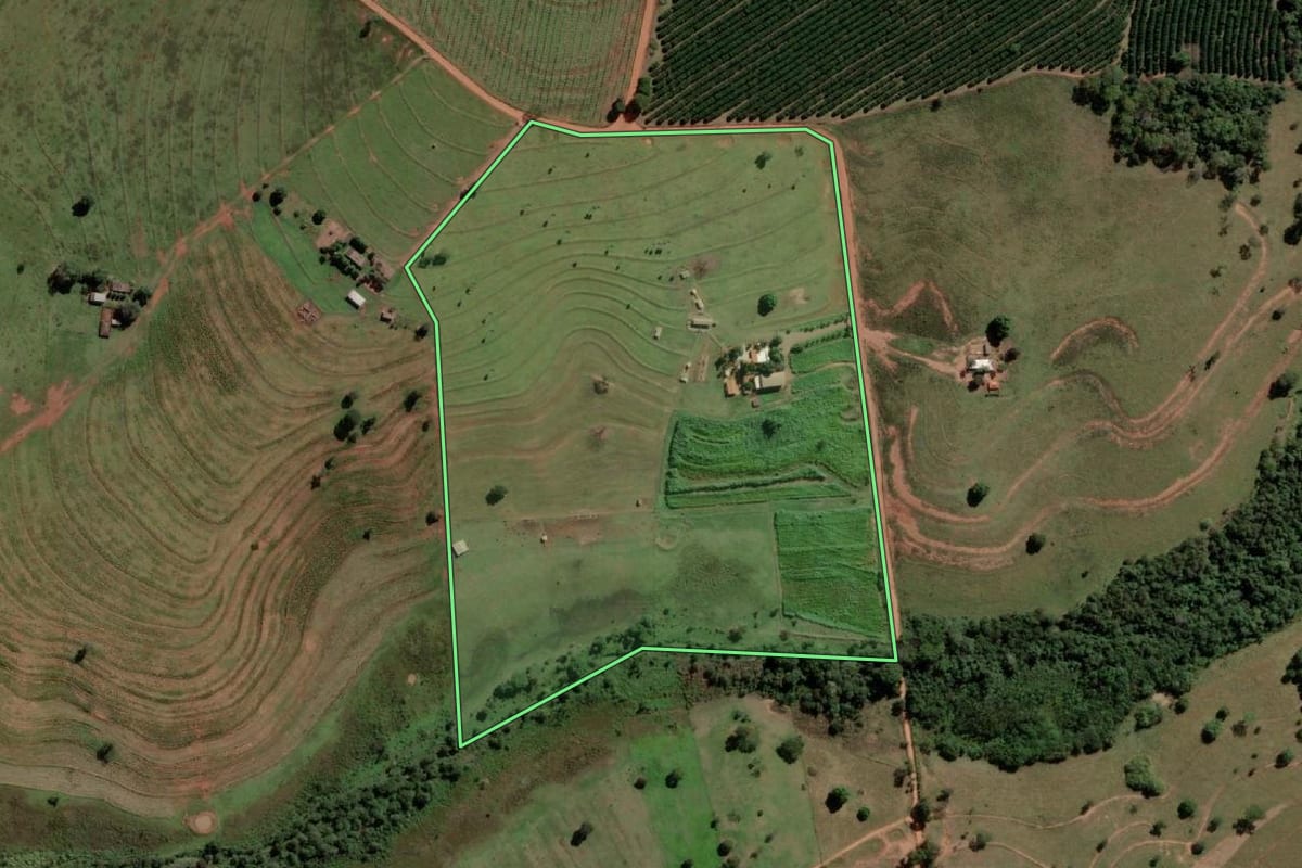 Imagem de satélite do imóvel rural em Santa Salete (SP), com o contorno declarado no CAR desenhado por cima.