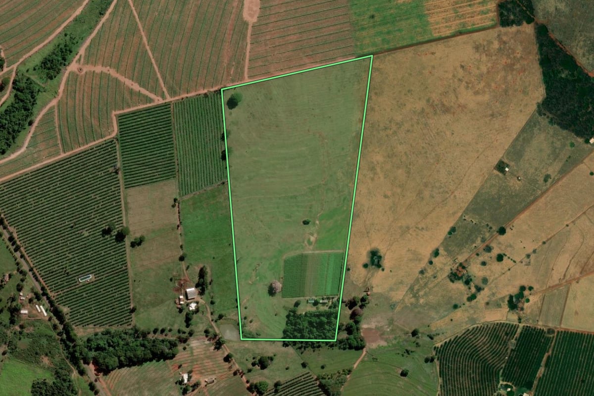 Imagem de satélite do imóvel rural em Santa Salete (SP), com o contorno declarado no CAR desenhado por cima.