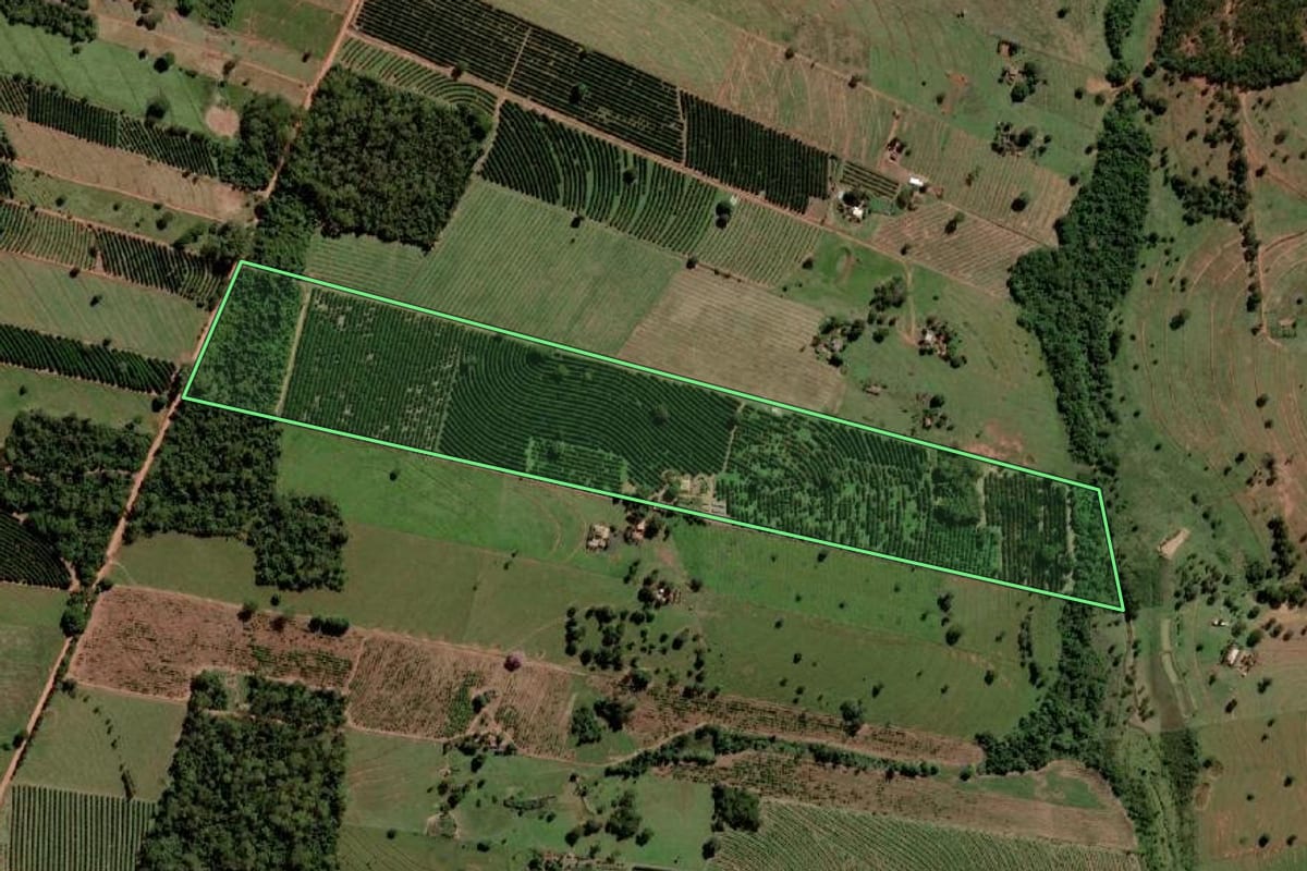 Imagem de satélite do imóvel rural em Santa Salete (SP), com o contorno declarado no CAR desenhado por cima.
