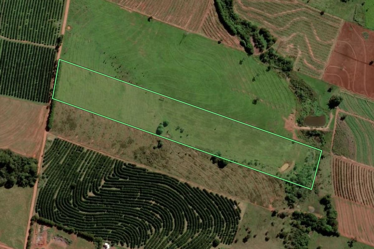 Imagem de satélite do imóvel rural em Santa Salete (SP), com o contorno declarado no CAR desenhado por cima.