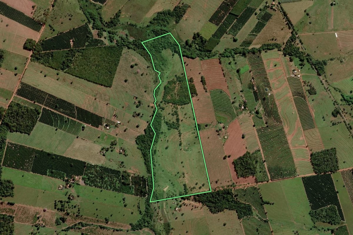 Imagem de satélite do imóvel rural em Santa Salete (SP), com o contorno declarado no CAR desenhado por cima.