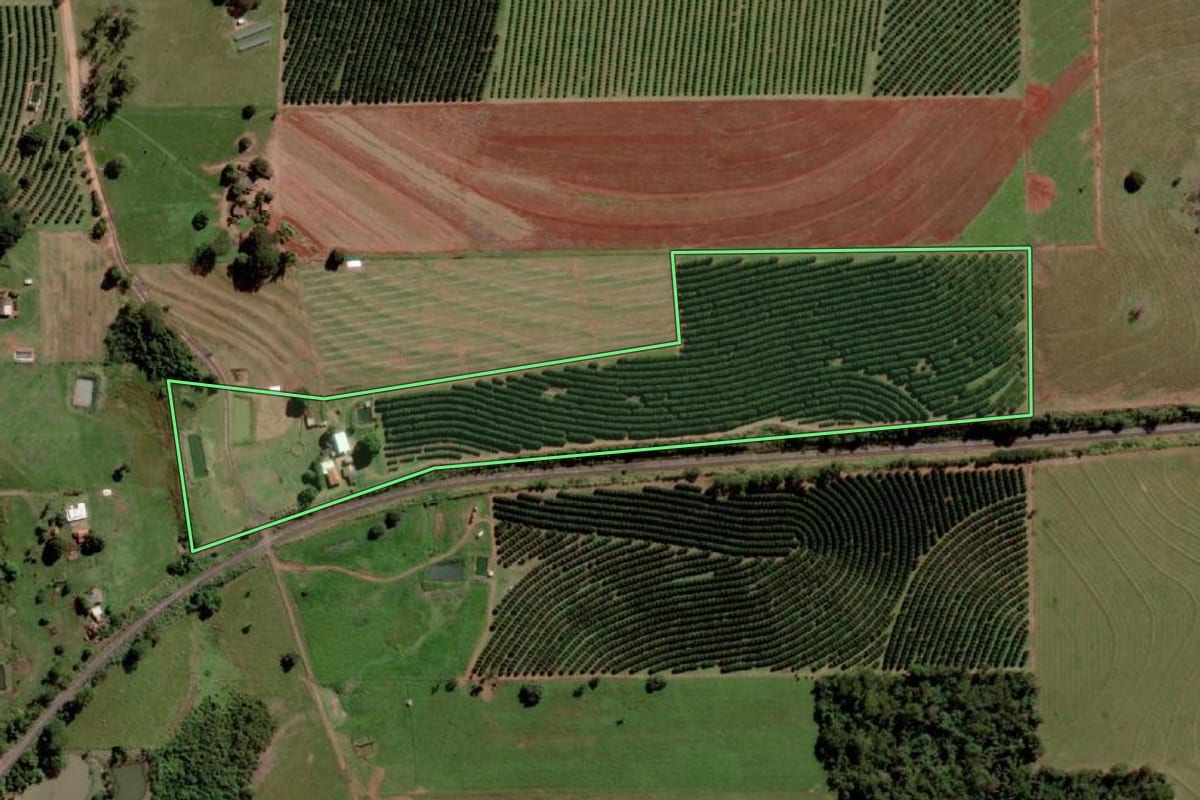 Imagem de satélite do imóvel rural em Santa Salete (SP), com o contorno declarado no CAR desenhado por cima.