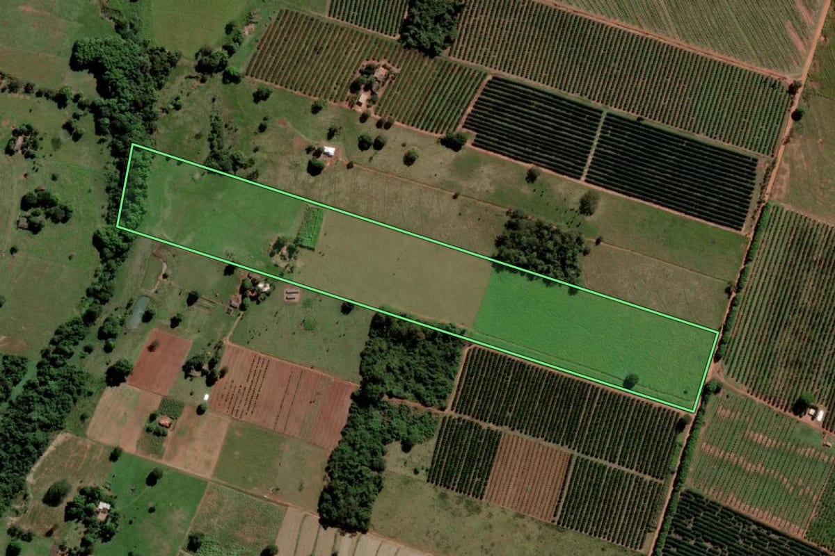 Imagem de satélite do imóvel rural em Santa Salete (SP), com o contorno declarado no CAR desenhado por cima.