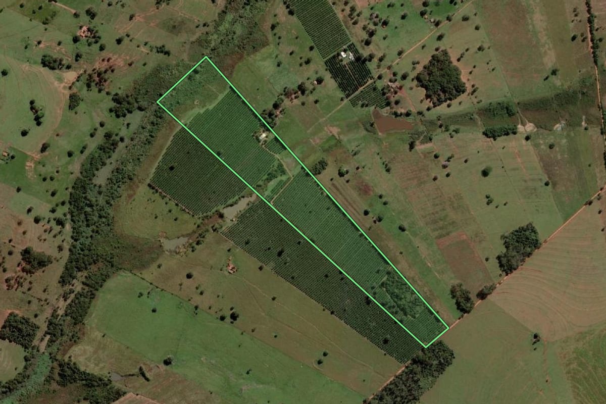 Imagem de satélite do imóvel rural em Santa Salete (SP), com o contorno declarado no CAR desenhado por cima.