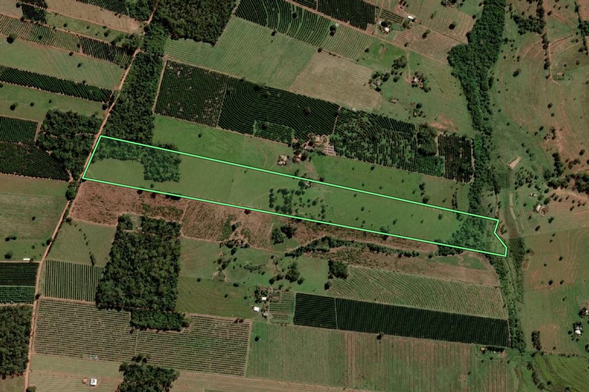 Imagem de satélite do imóvel rural em Santa Salete (SP), com o contorno declarado no CAR desenhado por cima.