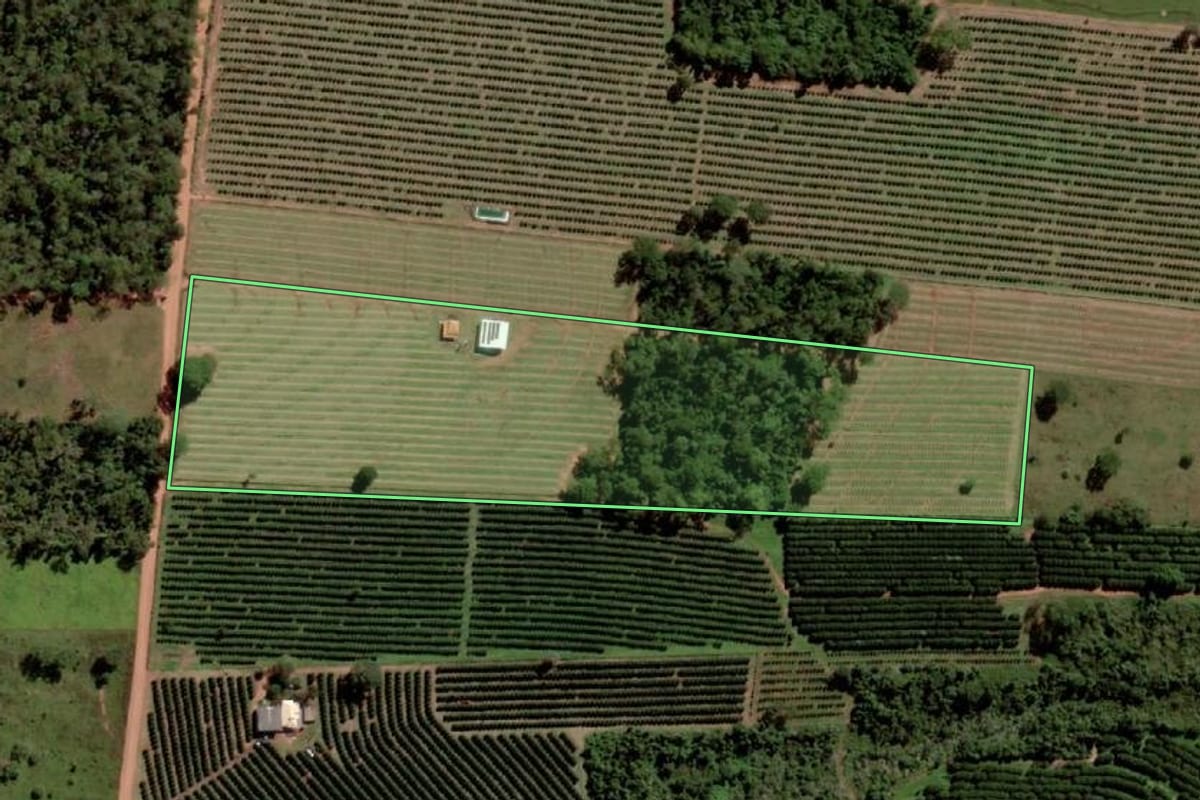 Imagem de satélite do imóvel rural em Santa Salete (SP), com o contorno declarado no CAR desenhado por cima.