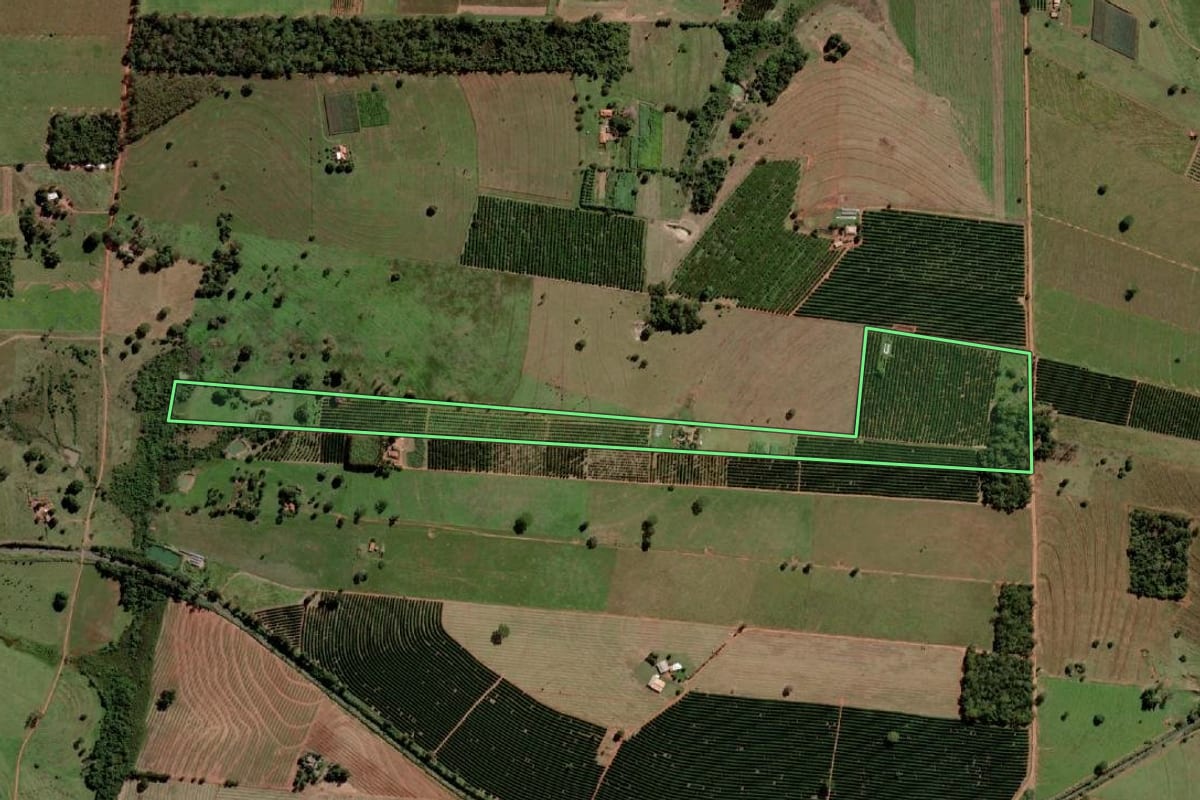 Imagem de satélite do imóvel rural em Santa Salete (SP), com o contorno declarado no CAR desenhado por cima.