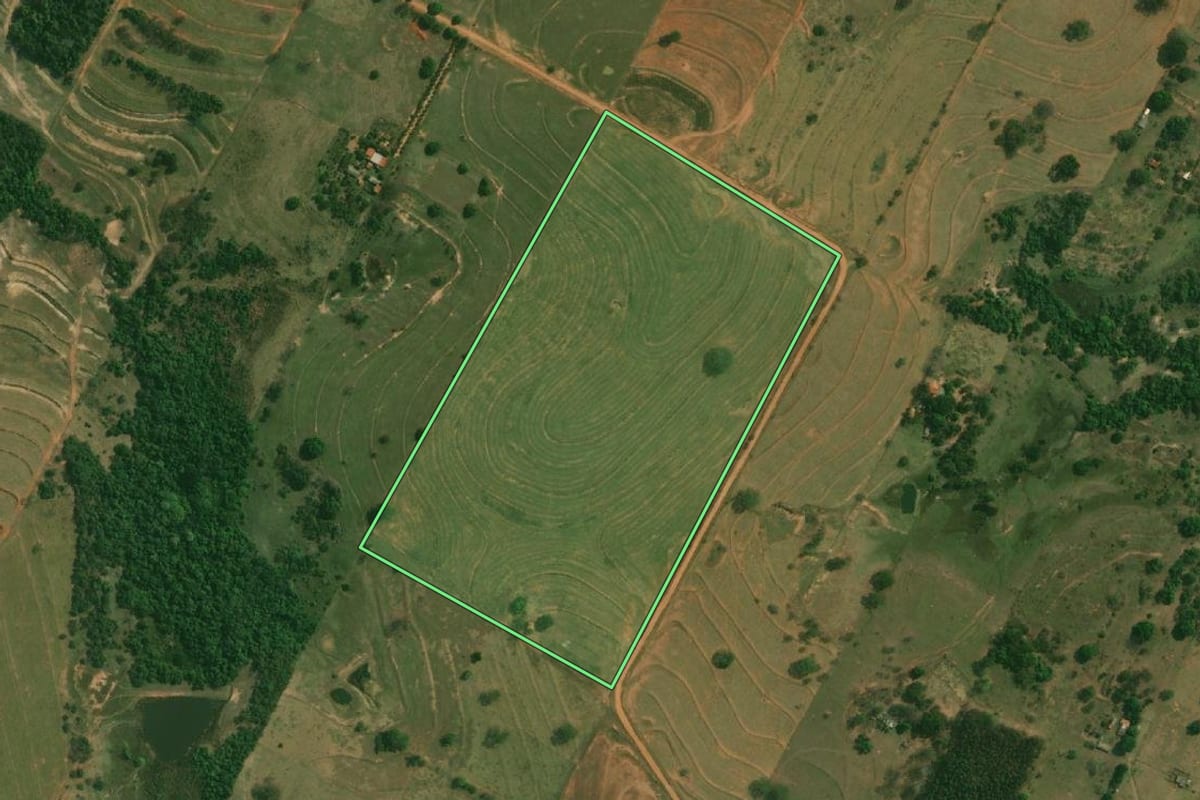 Imagem de satélite do imóvel rural em Santo Anastácio (SP), com o contorno declarado no CAR desenhado por cima.