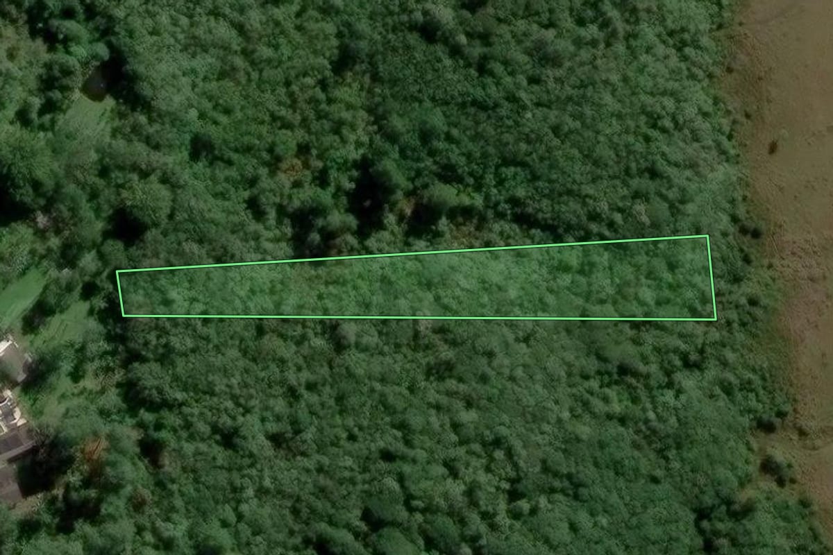 Imagem de satélite do imóvel rural em Santo André (SP), com o contorno declarado no CAR desenhado por cima.
