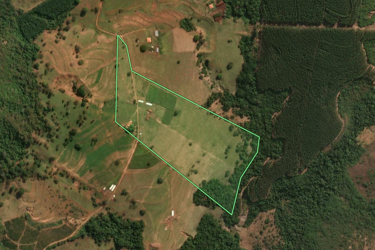 Imagem de satélite do imóvel rural em Santo Antônio da Alegria (SP), com o contorno declarado no CAR desenhado por cima.