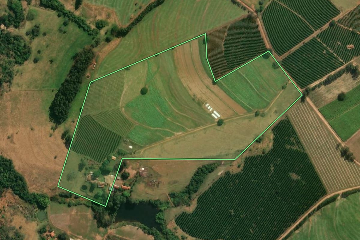 Imagem de satélite do imóvel rural em Santo Antônio da Alegria (SP), com o contorno declarado no CAR desenhado por cima.