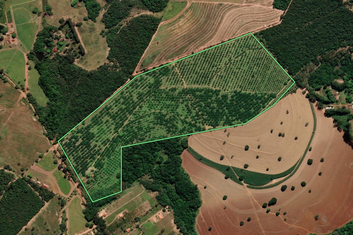 Imagem de satélite do imóvel rural em Santo Antônio da Alegria (SP), com o contorno declarado no CAR desenhado por cima.