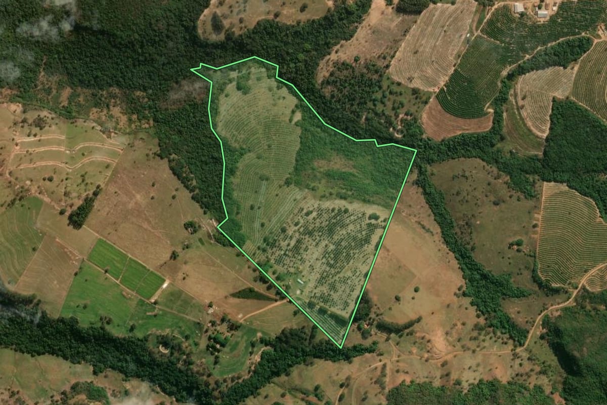 Imagem de satélite do imóvel rural em Santo Antônio da Alegria (SP), com o contorno declarado no CAR desenhado por cima.