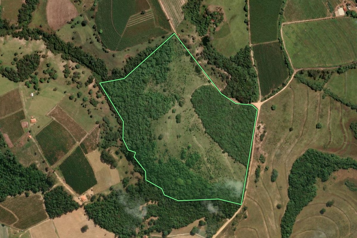 Imagem de satélite do imóvel rural em Santo Antônio da Alegria (SP), com o contorno declarado no CAR desenhado por cima.