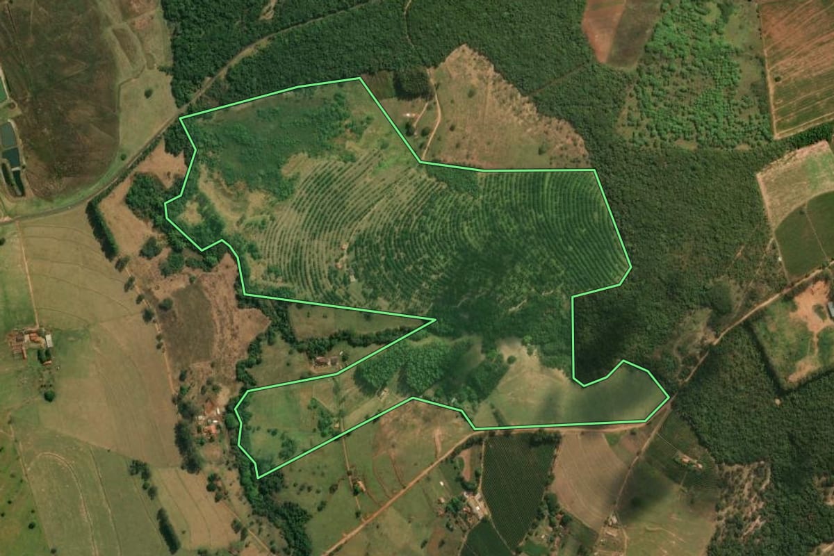 Imagem de satélite do imóvel rural em Santo Antônio da Alegria (SP), com o contorno declarado no CAR desenhado por cima.
