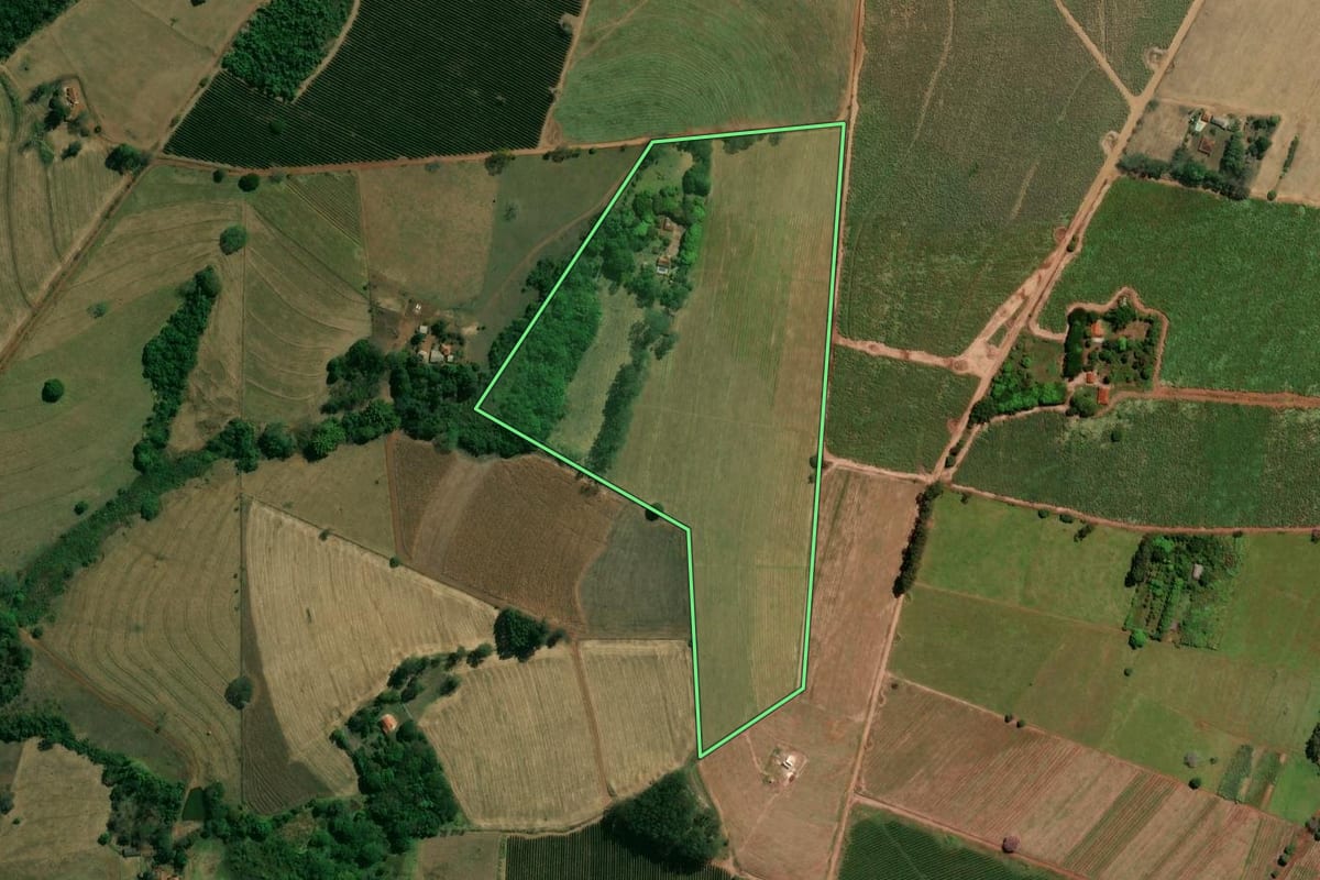 Imagem de satélite do imóvel rural em Santo Antônio da Alegria (SP), com o contorno declarado no CAR desenhado por cima.