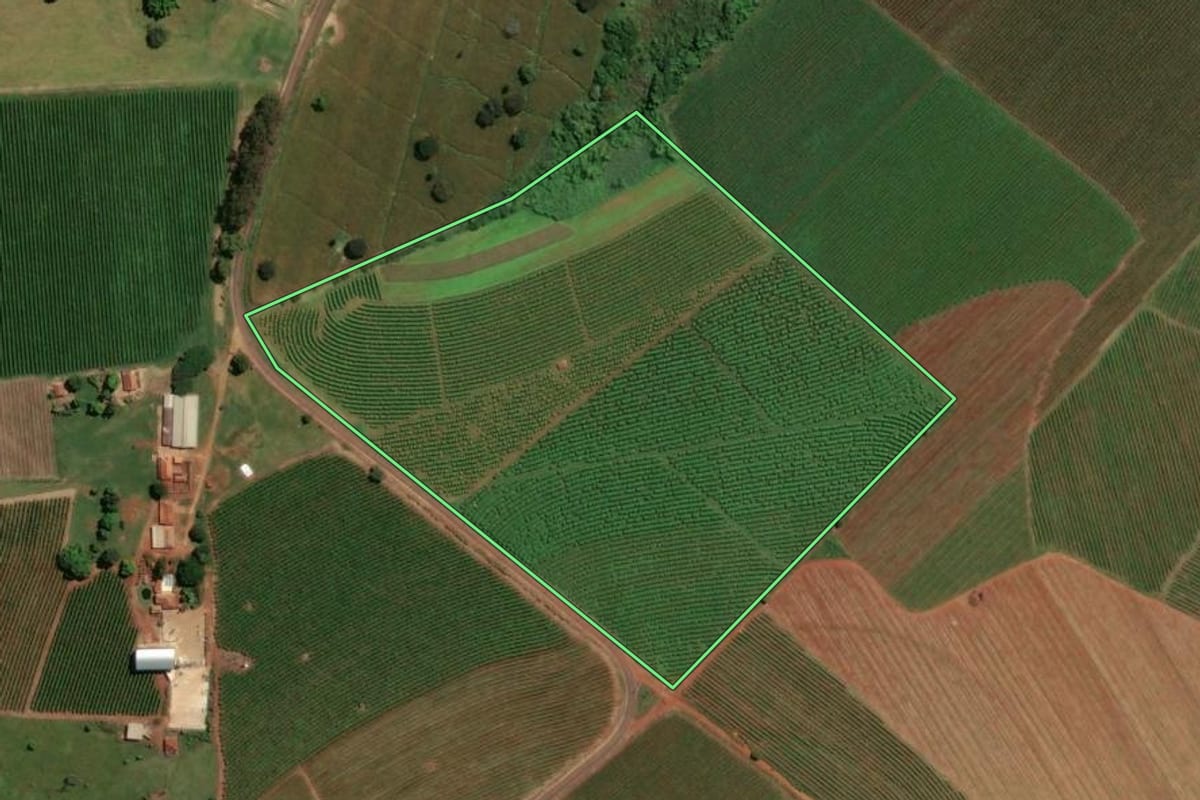 Imagem de satélite do imóvel rural em Santo Antônio da Alegria (SP), com o contorno declarado no CAR desenhado por cima.
