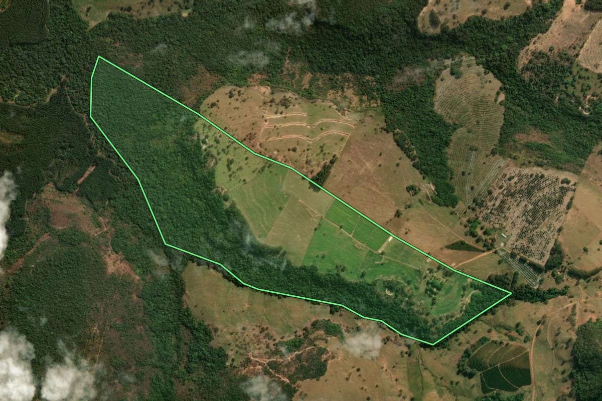 Imagem de satélite do imóvel rural em Santo Antônio da Alegria (SP), com o contorno declarado no CAR desenhado por cima.