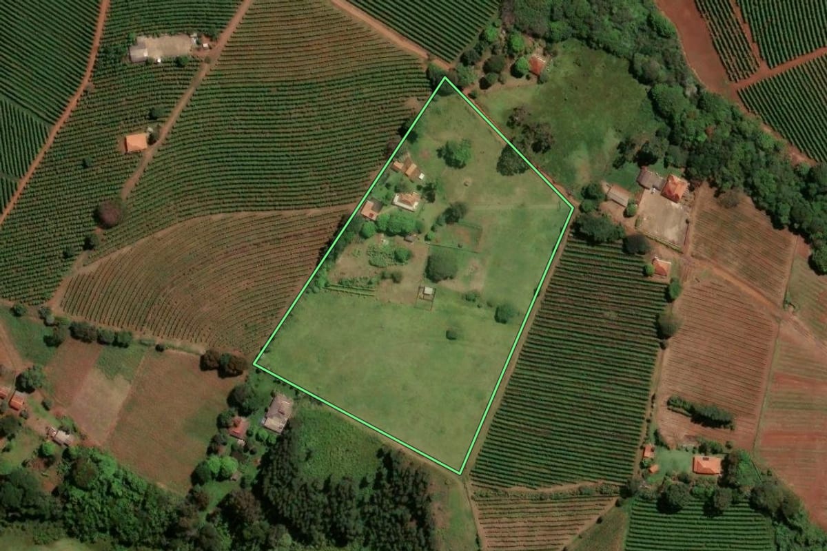 Imagem de satélite do imóvel rural em Santo Antônio da Alegria (SP), com o contorno declarado no CAR desenhado por cima.