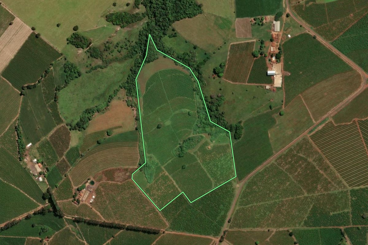 Imagem de satélite do imóvel rural em Santo Antônio da Alegria (SP), com o contorno declarado no CAR desenhado por cima.