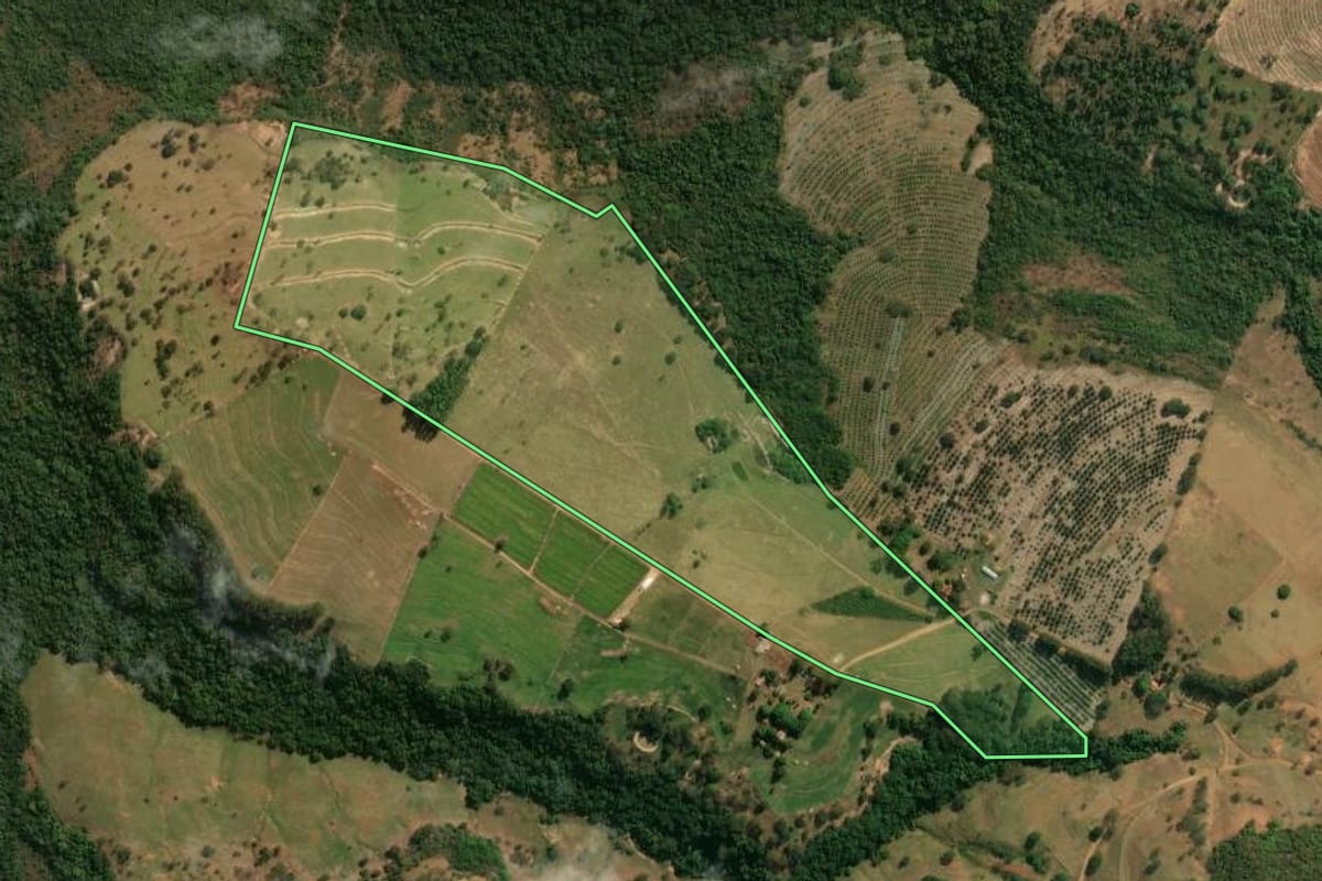 Imagem de satélite do imóvel rural em Santo Antônio da Alegria (SP), com o contorno declarado no CAR desenhado por cima.