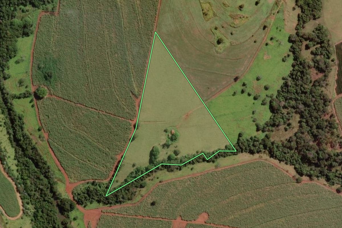 Imagem de satélite do imóvel rural em Santo Antônio da Alegria (SP), com o contorno declarado no CAR desenhado por cima.