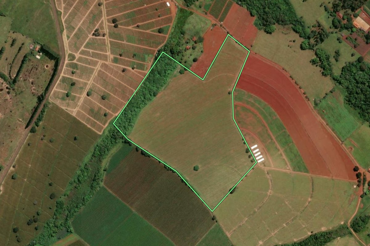 Imagem de satélite do imóvel rural em Santo Antônio da Alegria (SP), com o contorno declarado no CAR desenhado por cima.