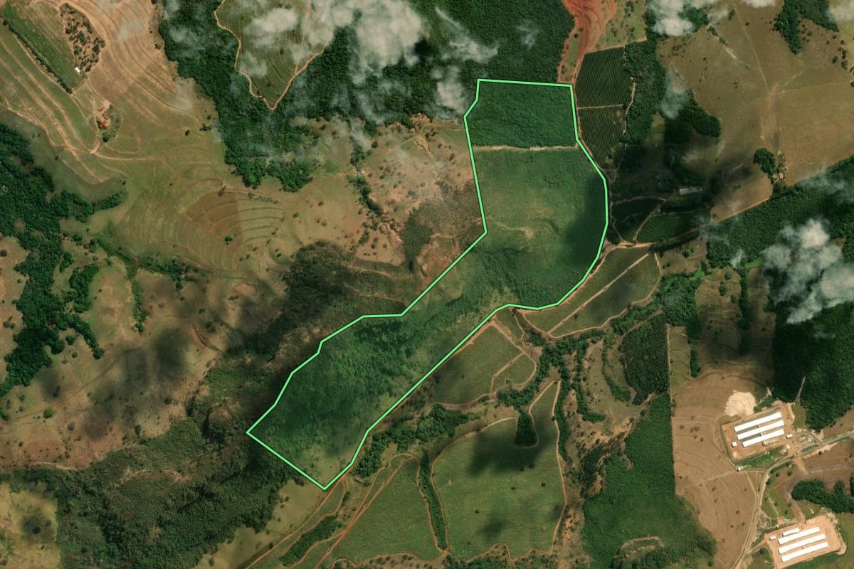 Imagem de satélite do imóvel rural em Santo Antônio da Alegria (SP), com o contorno declarado no CAR desenhado por cima.