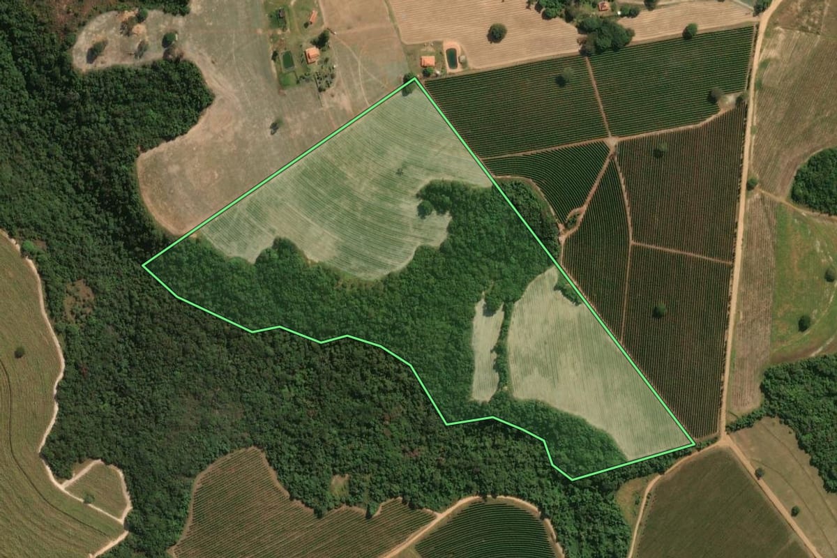 Imagem de satélite do imóvel rural em Santo Antônio da Alegria (SP), com o contorno declarado no CAR desenhado por cima.