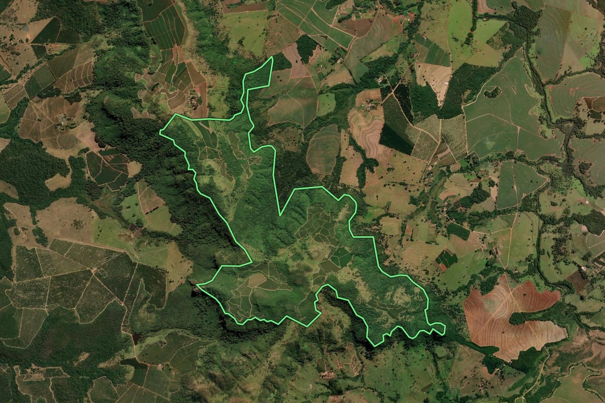 Imagem de satélite do imóvel rural em Santo Antônio da Alegria (SP), com o contorno declarado no CAR desenhado por cima.
