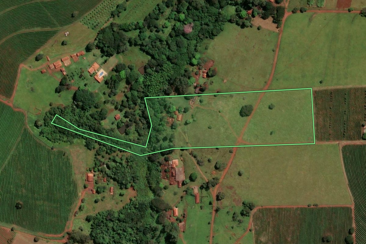 Imagem de satélite do imóvel rural em Santo Antônio da Alegria (SP), com o contorno declarado no CAR desenhado por cima.