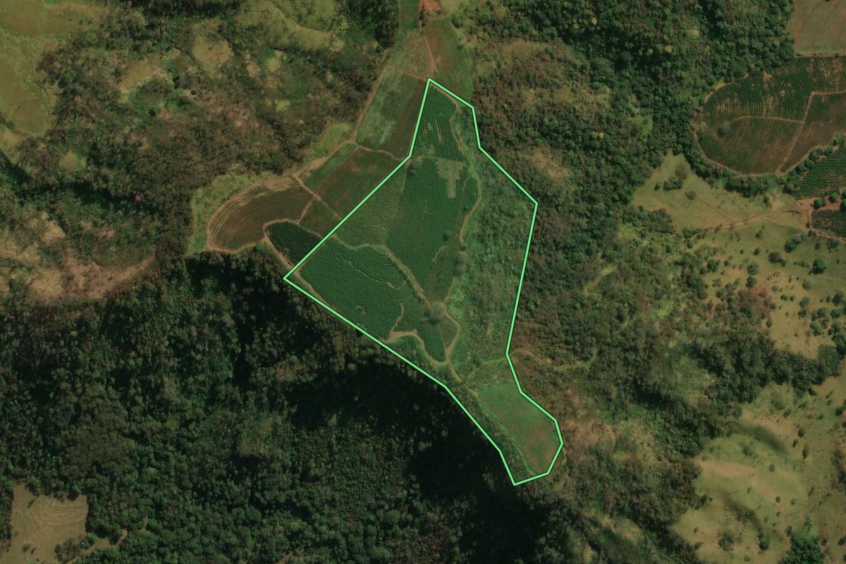 Imagem de satélite do imóvel rural em Santo Antônio da Alegria (SP), com o contorno declarado no CAR desenhado por cima.