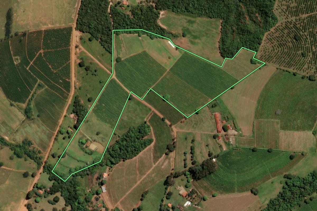 Imagem de satélite do imóvel rural em Santo Antônio da Alegria (SP), com o contorno declarado no CAR desenhado por cima.