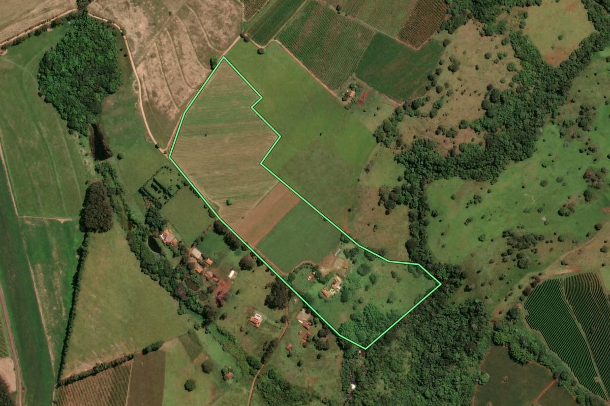 Imagem de satélite do imóvel rural em Santo Antônio da Alegria (SP), com o contorno declarado no CAR desenhado por cima.