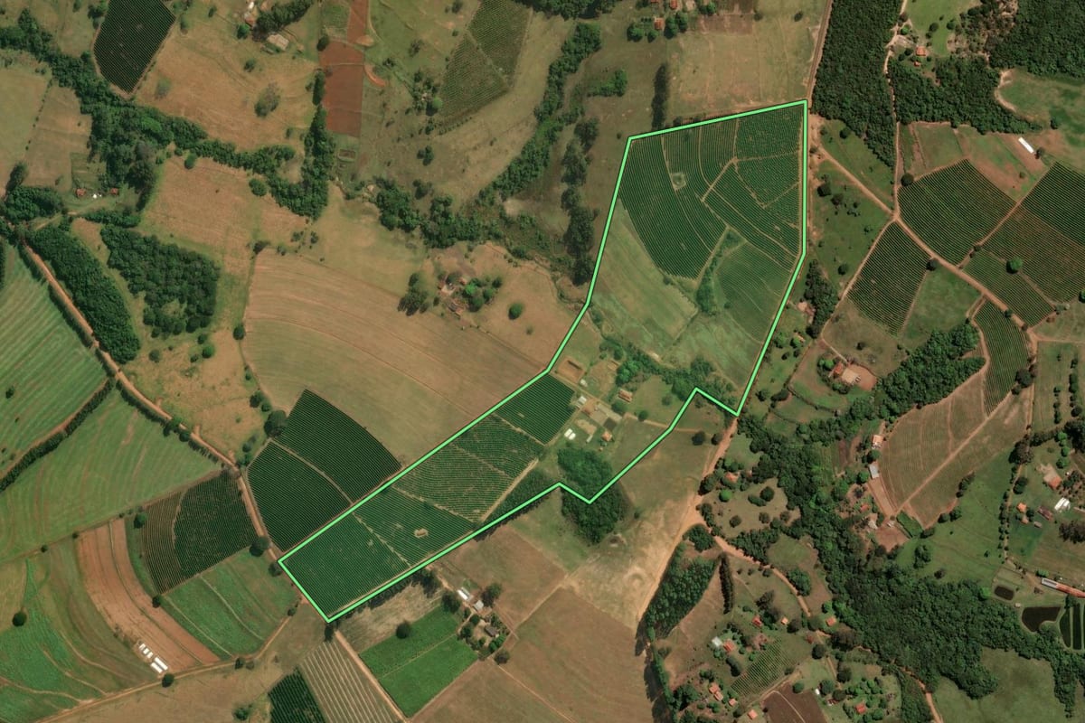 Imagem de satélite do imóvel rural em Santo Antônio da Alegria (SP), com o contorno declarado no CAR desenhado por cima.