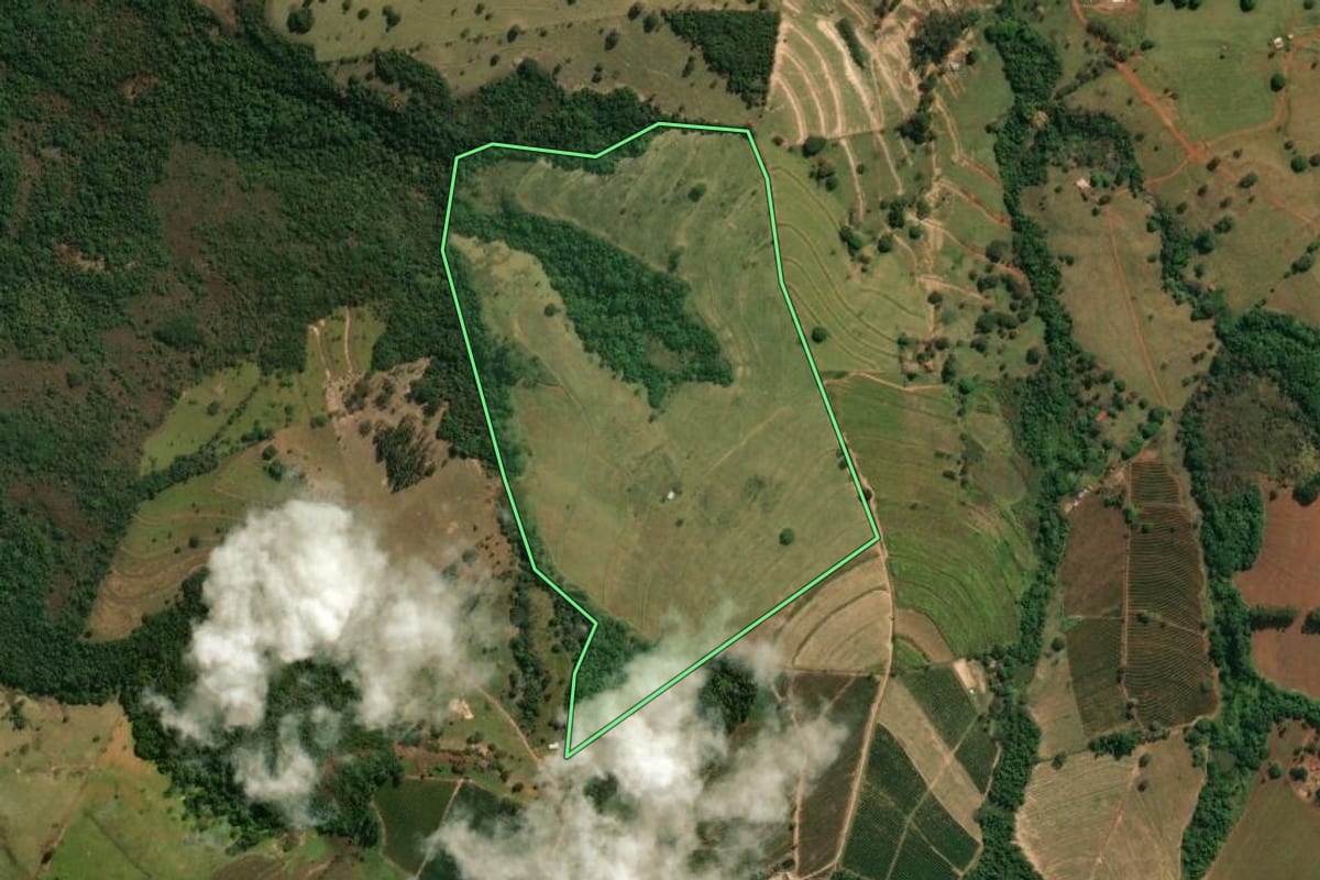 Imagem de satélite do imóvel rural em Santo Antônio da Alegria (SP), com o contorno declarado no CAR desenhado por cima.