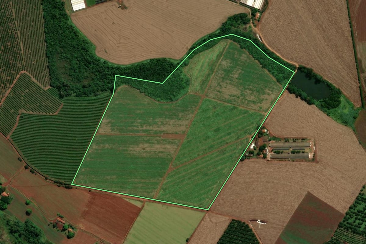 Imagem de satélite do imóvel rural em Santo Antônio de Posse (SP), com o contorno declarado no CAR desenhado por cima.