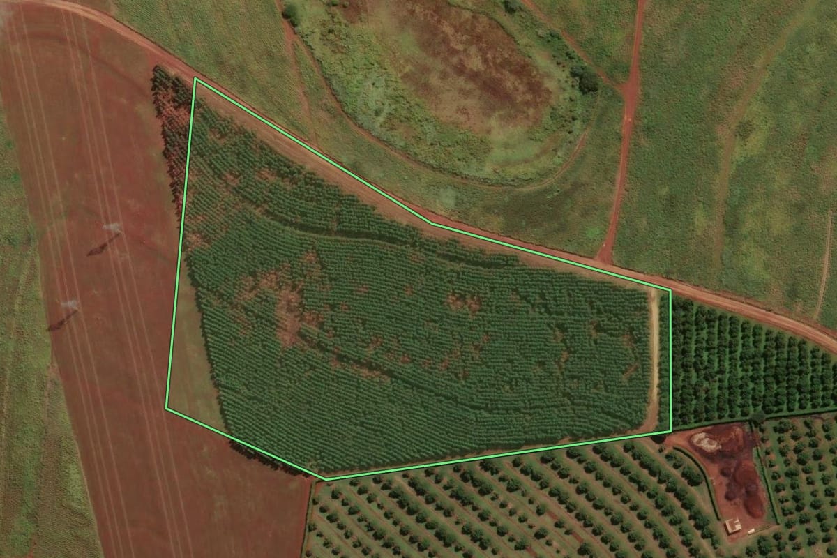 Imagem de satélite do imóvel rural em Santo Antônio de Posse (SP), com o contorno declarado no CAR desenhado por cima.