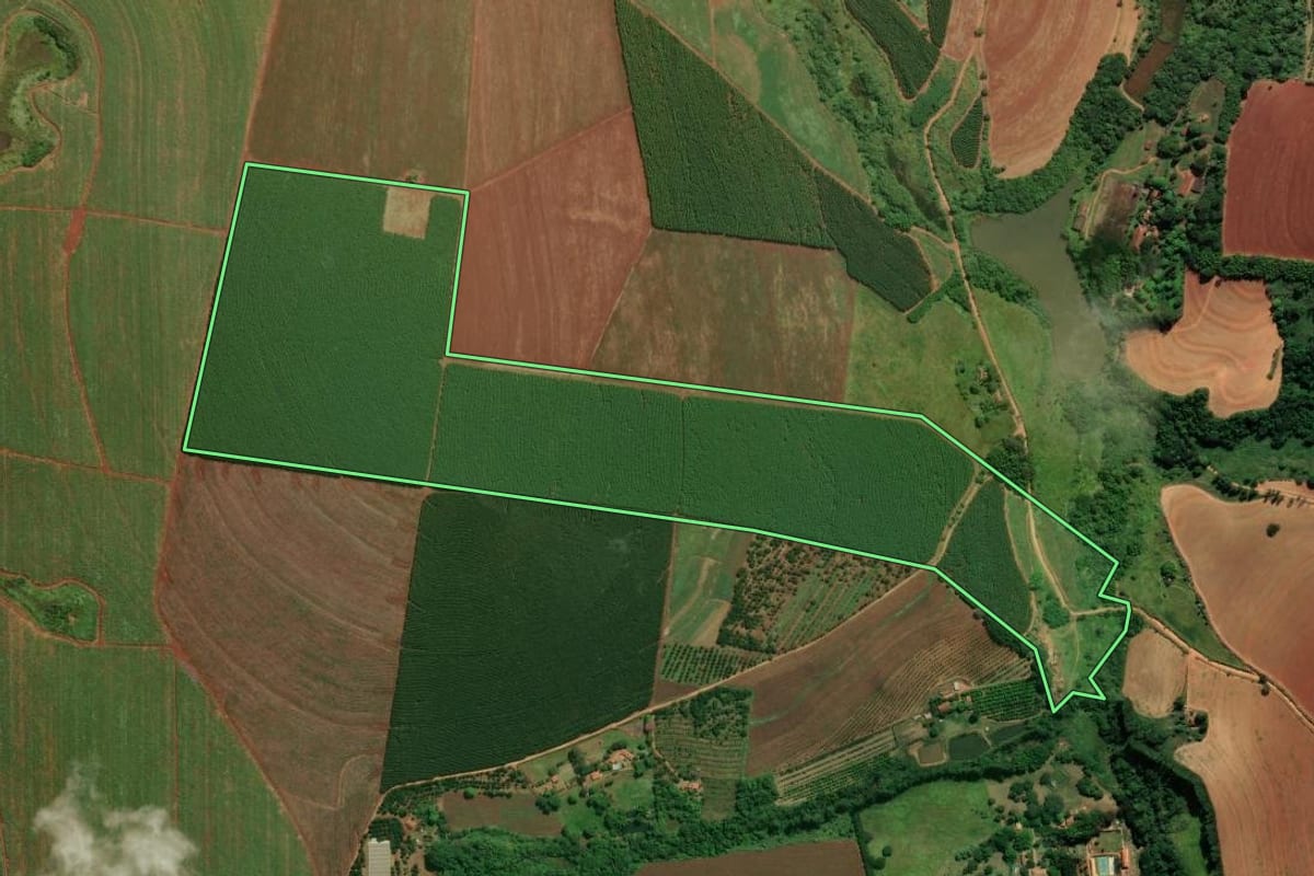 Imagem de satélite do imóvel rural em Santo Antônio de Posse (SP), com o contorno declarado no CAR desenhado por cima.