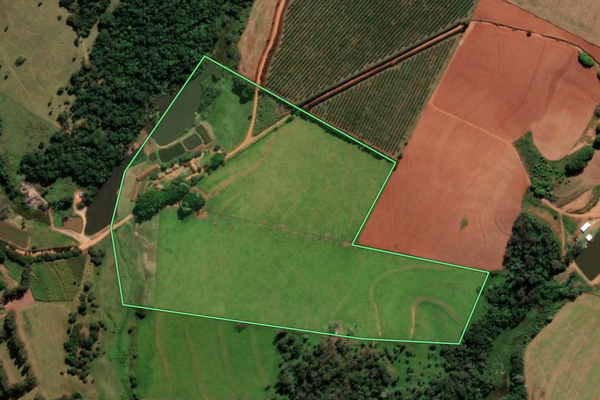 Imagem de satélite do imóvel rural em Santo Antônio de Posse (SP), com o contorno declarado no CAR desenhado por cima.