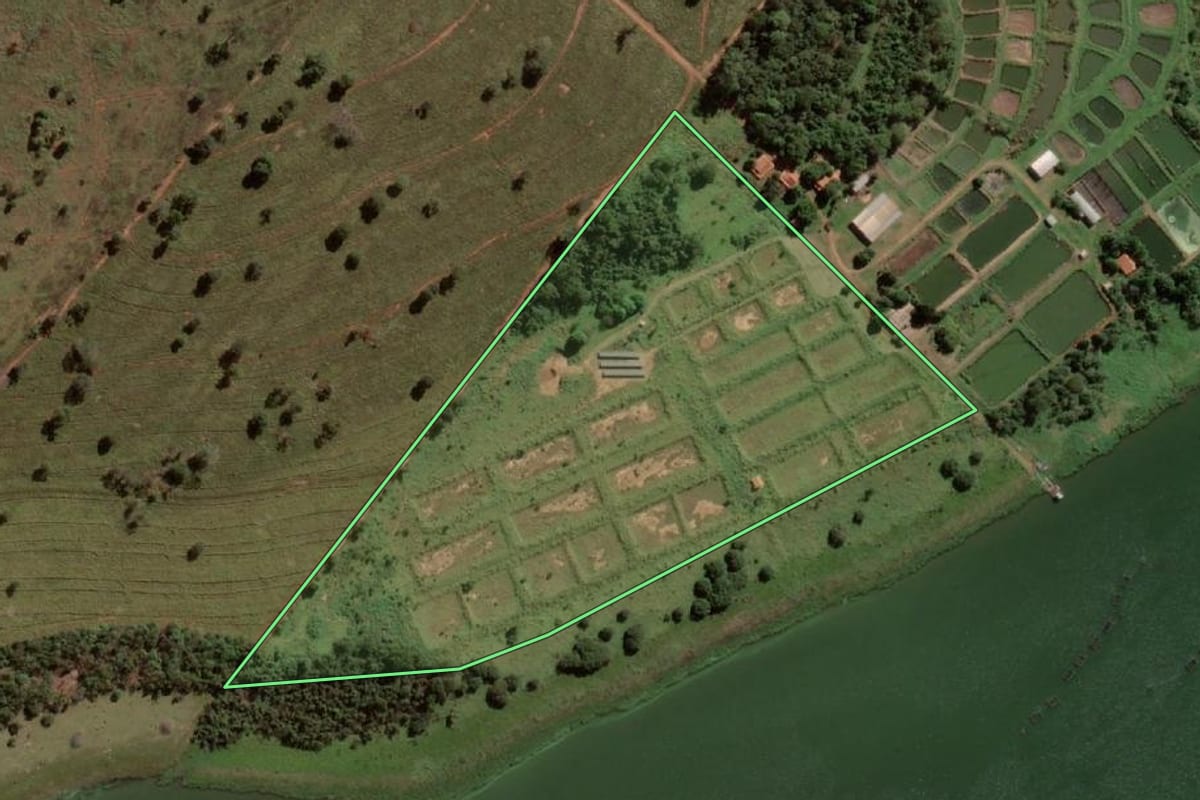 Imagem de satélite do imóvel rural em Santo Antônio do Aracanguá (SP), com o contorno declarado no CAR desenhado por cima.