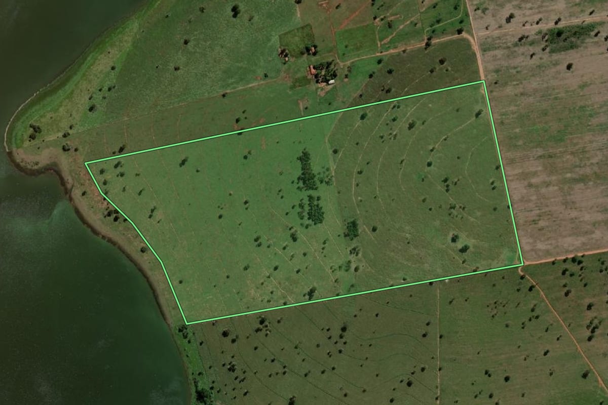 Imagem de satélite do imóvel rural em Santo Antônio do Aracanguá (SP), com o contorno declarado no CAR desenhado por cima.
