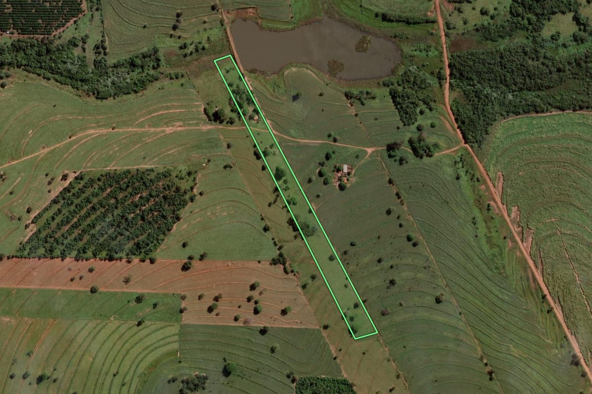Imagem de satélite do imóvel rural em Santo Antônio do Aracanguá (SP), com o contorno declarado no CAR desenhado por cima.