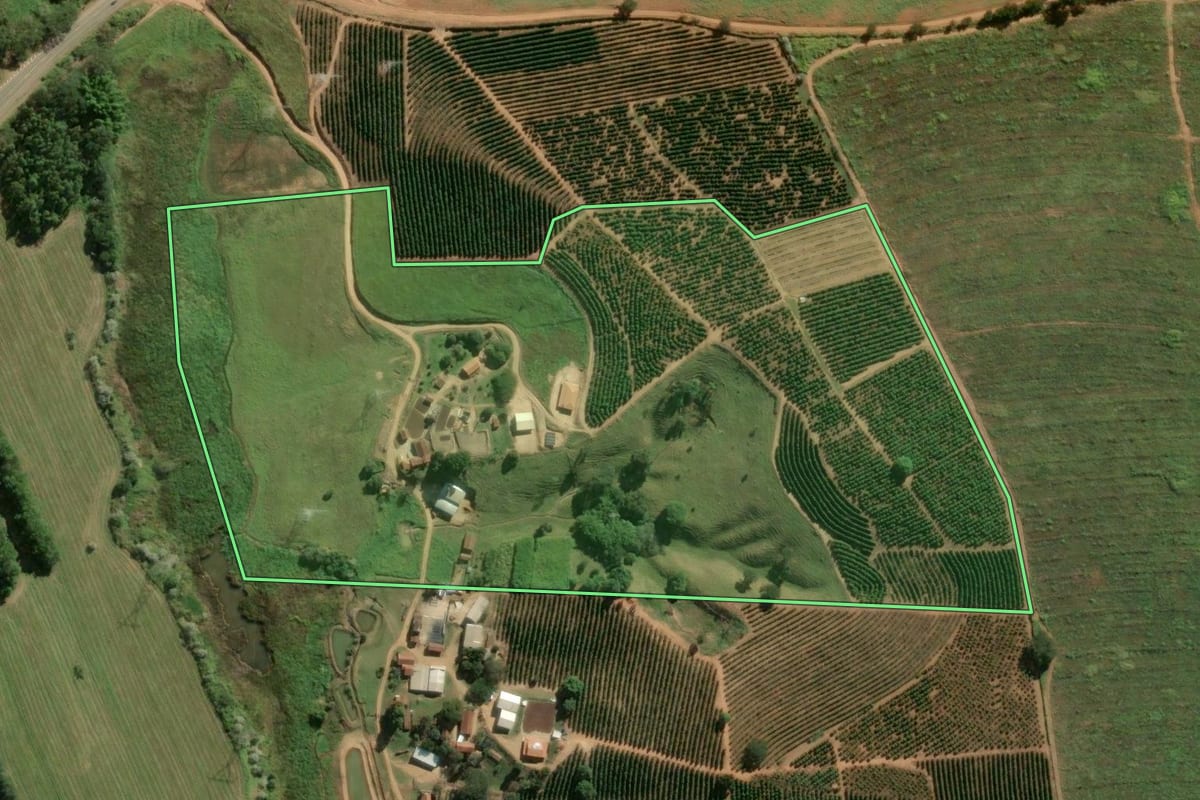 Imagem de satélite do imóvel rural em Santo Antônio do Jardim (SP), com o contorno declarado no CAR desenhado por cima.