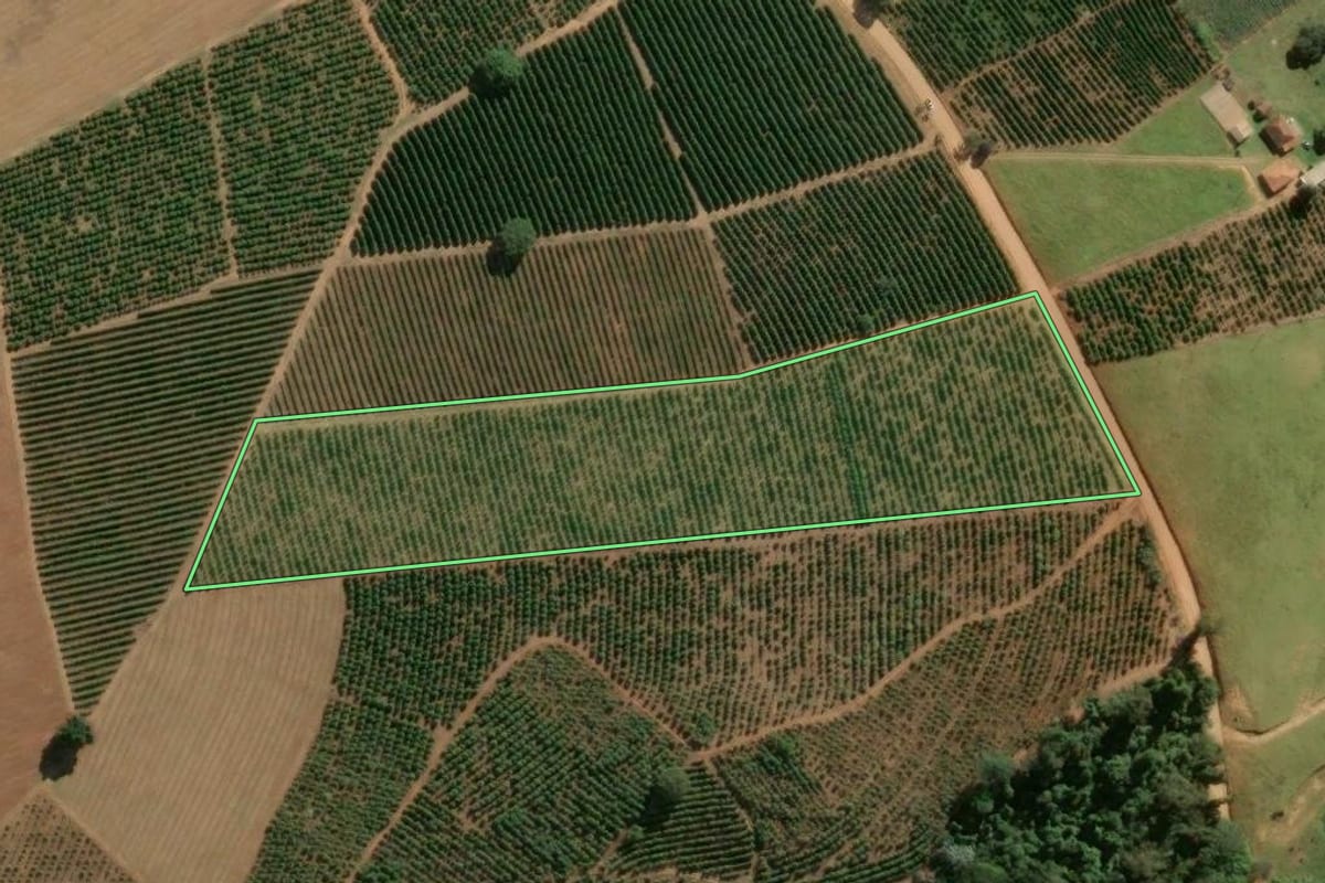 Imagem de satélite do imóvel rural em Santo Antônio do Jardim (SP), com o contorno declarado no CAR desenhado por cima.