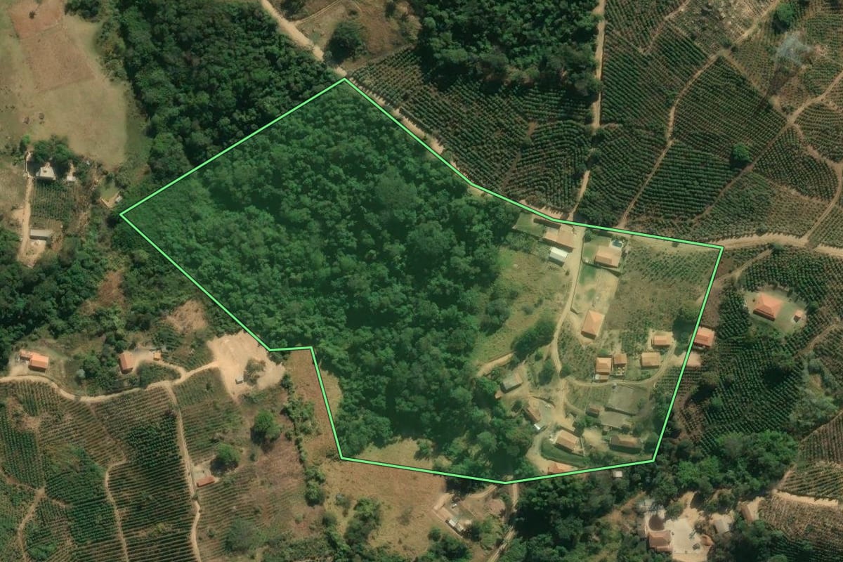 Imagem de satélite do imóvel rural em Santo Antônio do Jardim (SP), com o contorno declarado no CAR desenhado por cima.
