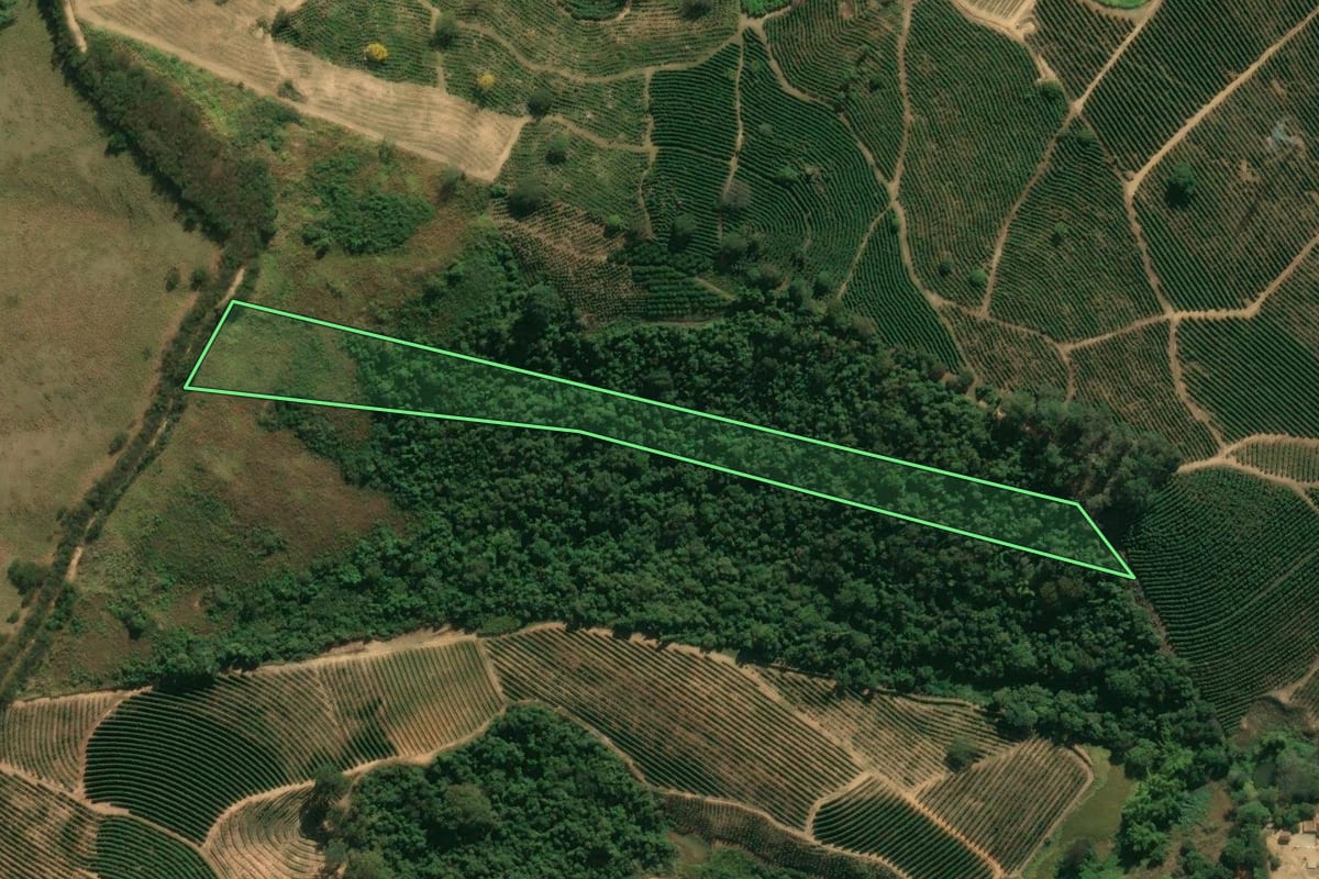 Imagem de satélite do imóvel rural em Santo Antônio do Jardim (SP), com o contorno declarado no CAR desenhado por cima.