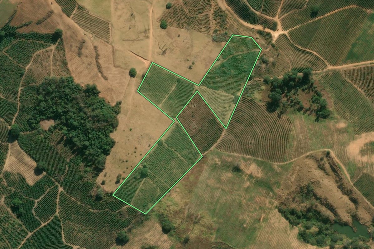 Imagem de satélite do imóvel rural em Santo Antônio do Jardim (SP), com o contorno declarado no CAR desenhado por cima.