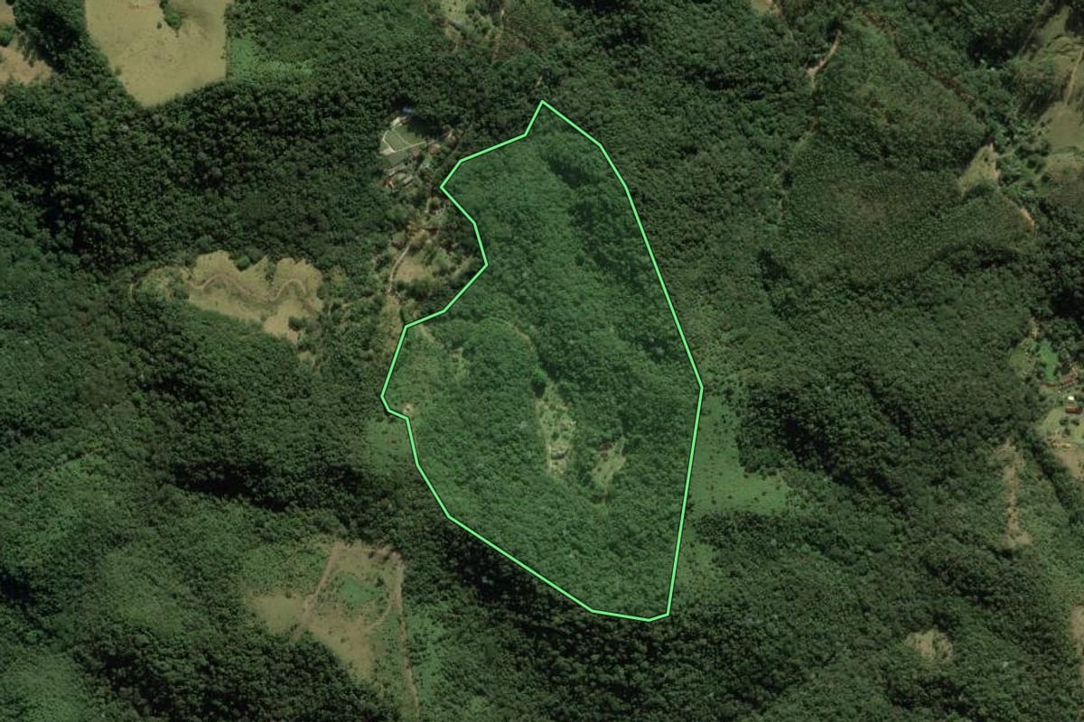Imagem de satélite do imóvel rural em Santo Antônio do Pinhal (SP), com o contorno declarado no CAR desenhado por cima.